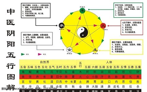 五行平衡|中医五行平衡